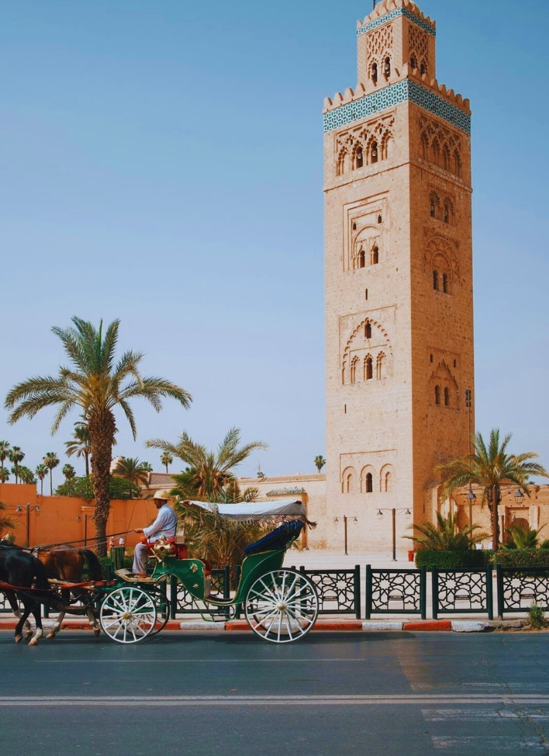 11 Days from Casablanca