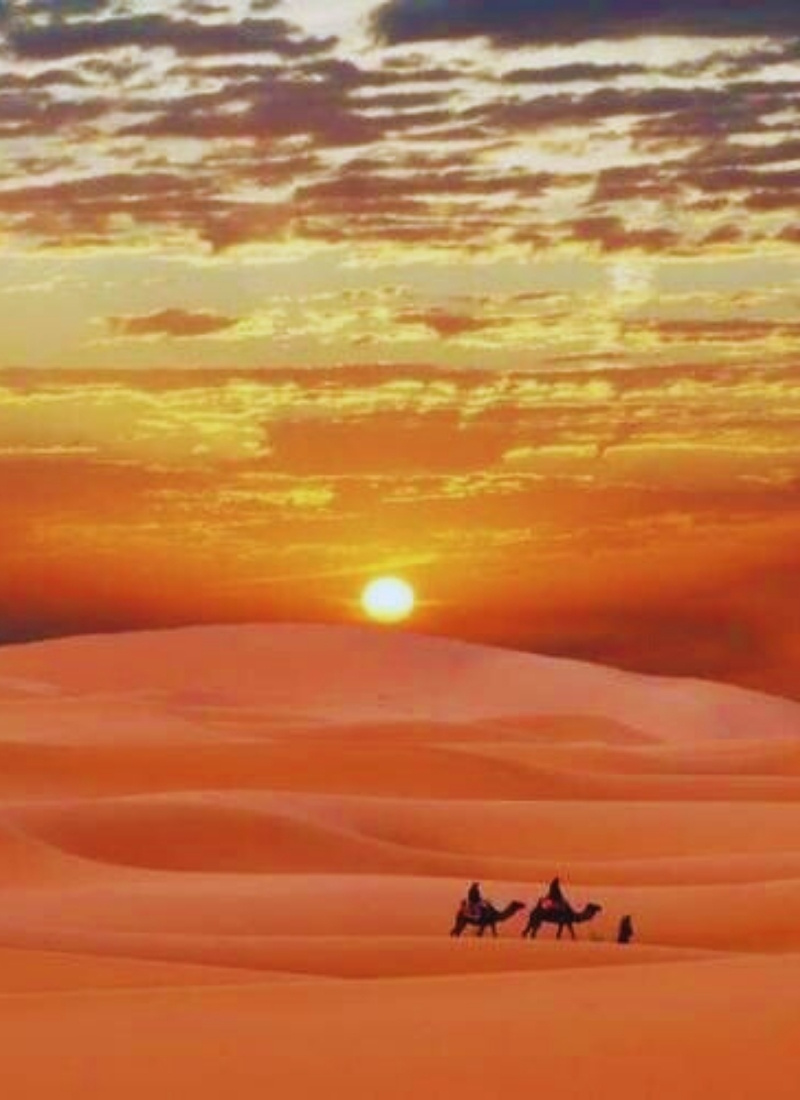 11 Days from Casablanca