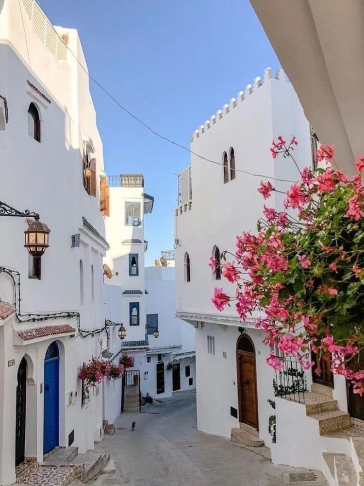 18 day morocco tour from casablanca