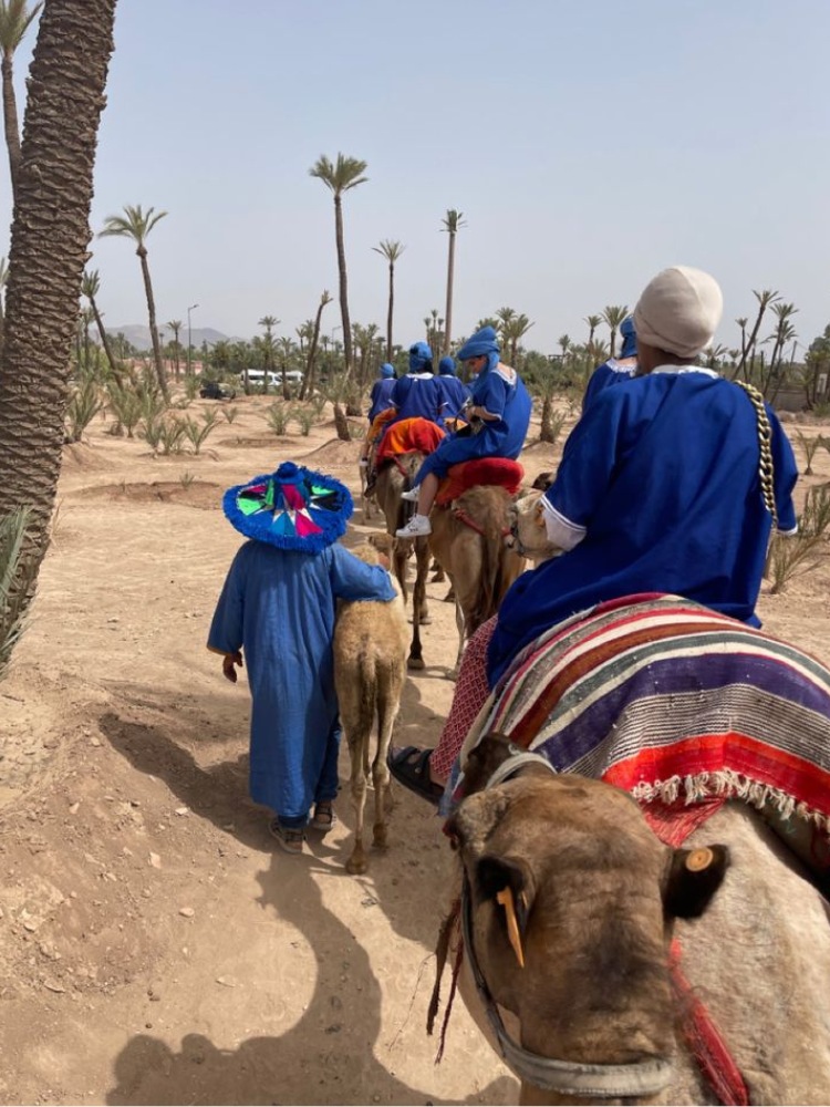 Ait Ben Haddou Day Trip