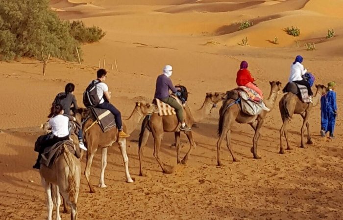 20 Days Morocco Tours